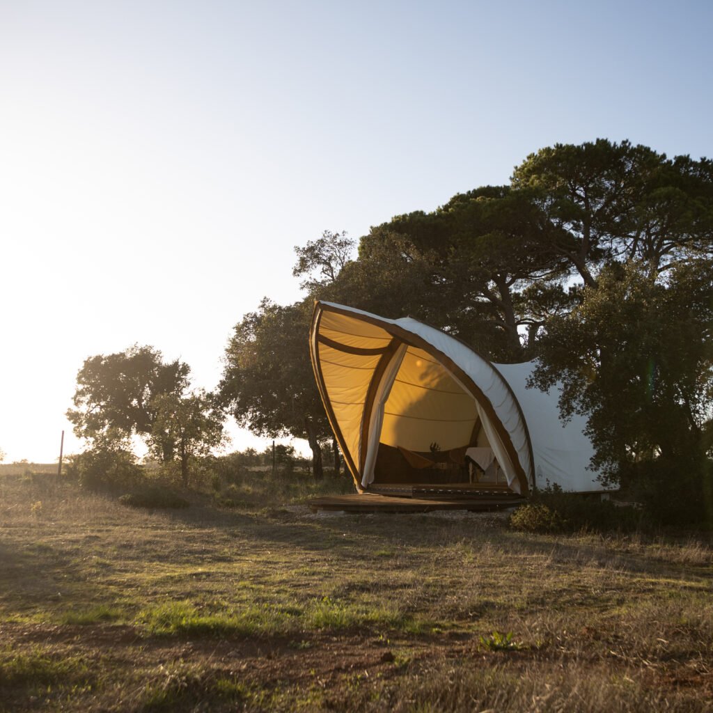 healint tent 1
